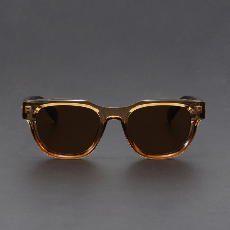 Visconti Polarized Shades
